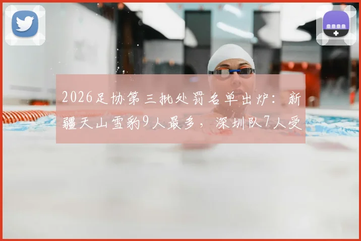 2026足协第三批处罚名单出炉：新疆天山雪豹9人最多，深圳队7人受罚，完整名单与影响解读