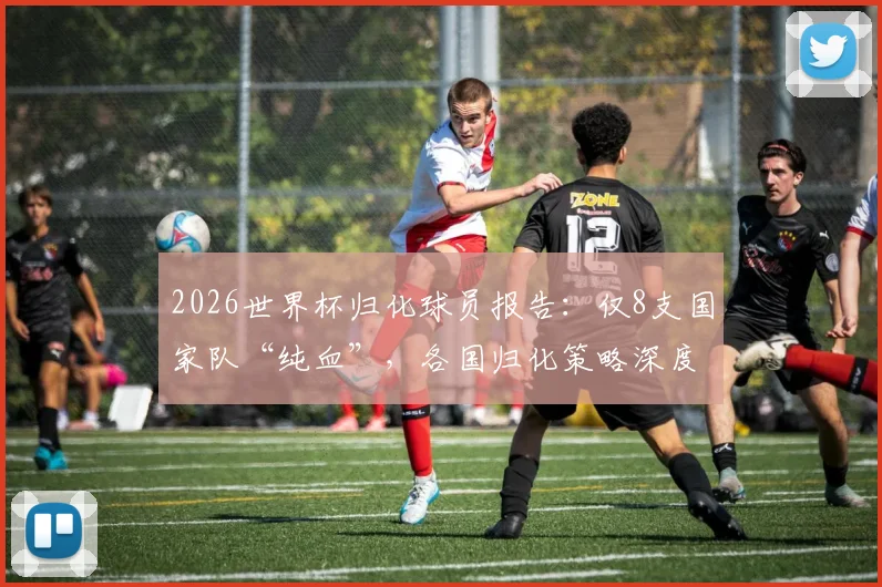 2026世界杯归化球员报告：仅8支国家队“纯血”，各国归化策略深度解读