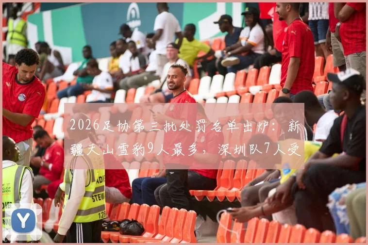 2026足协第三批处罚名单出炉：新疆天山雪豹9人最多，深圳队7人受罚，完整名单与影响解读